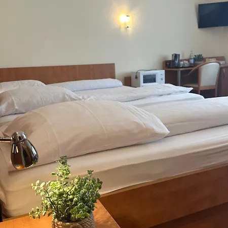 Falk Hotel 3*