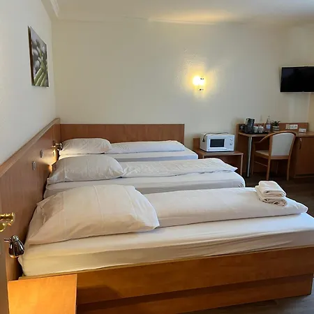 Hotel Falk 3*